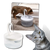 Cat Water Fountain With LED Light And Purification System