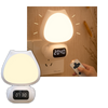 Rechargeable Remote Bedside Lamp With Adjustable Brightness