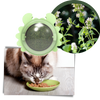 Minty Rotating Cat Ball Toy For Engaging Play And Furniture Protection
