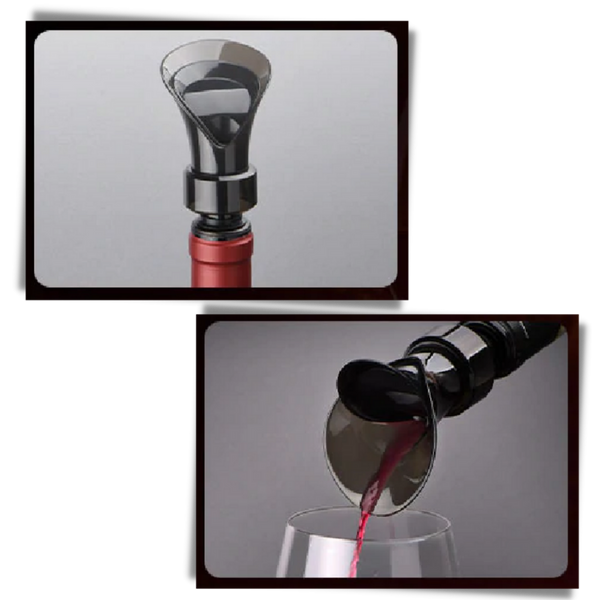 Two In One Wine Decanter And Seal For Smooth Aromatic Pour
