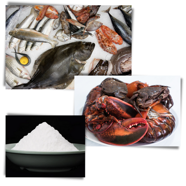 Premium Fish Lure For Easy Use And Long Lasting Attraction