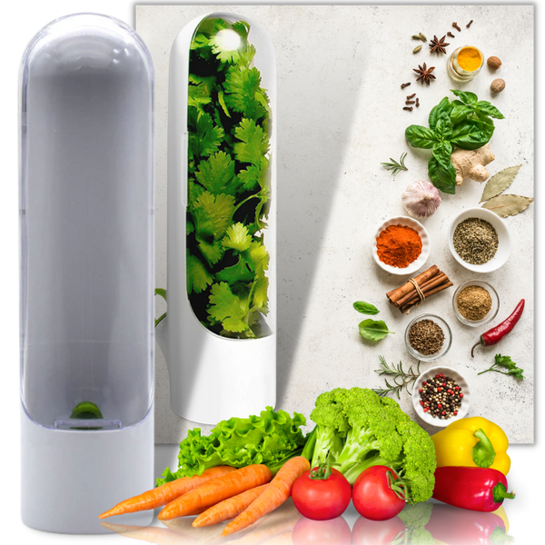 Herb Preservation Container Keeps Fresh Herbs Longer And Flavorful