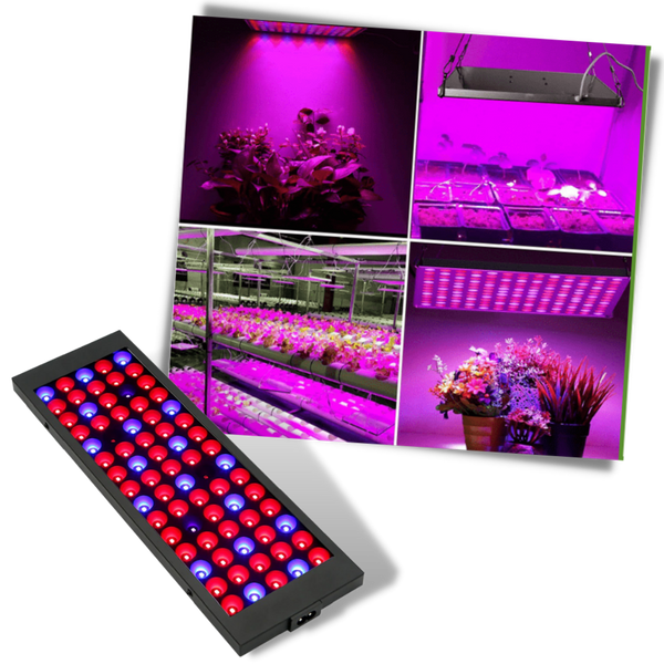 Premium Hanging Full Spectrum LED Grow Light With UV Boost