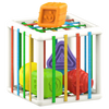 Colorful Shape Blocks Toy for Kids Develops Motor and Cognitive Skills