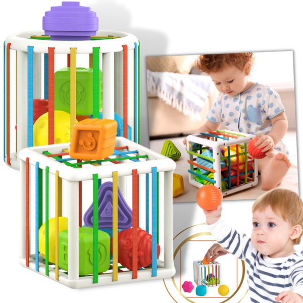 Colorful Shape Blocks Toy for Kids Develops Motor and Cognitive Skills