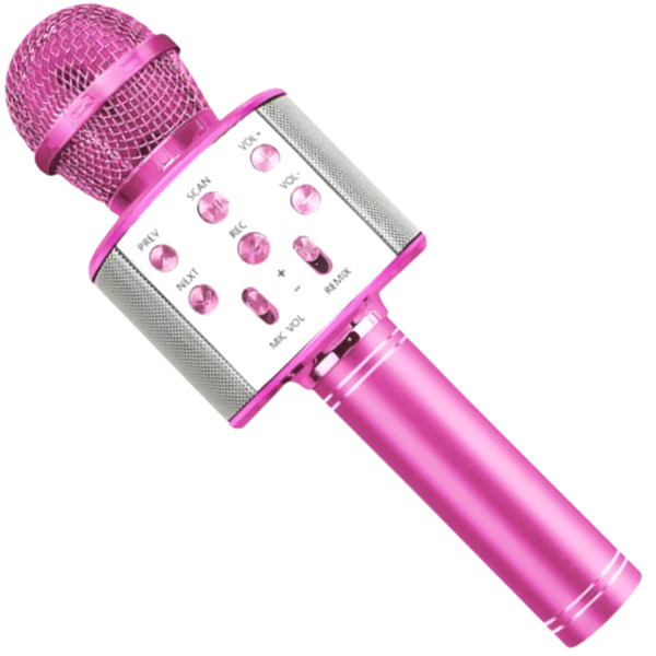 Premium Karaoke Microphone With Bluetooth And Noise Reduction Portable