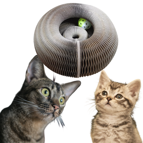 Durable Cat Scratching Board With Unique Design For Furniture Protection