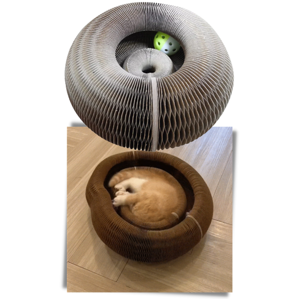 Durable Cat Scratching Board With Unique Design For Furniture Protection