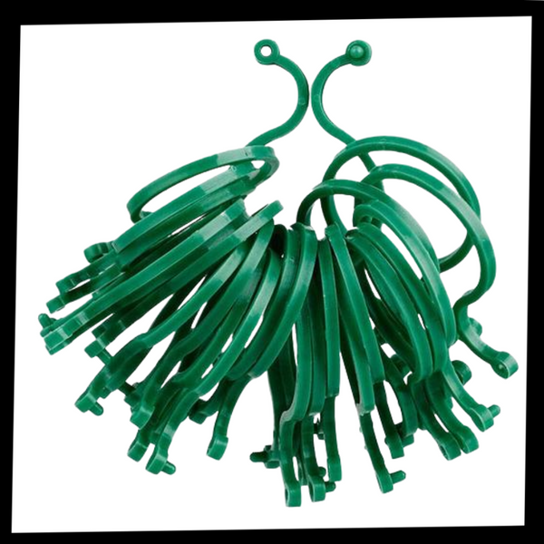 Garden Plant Support Clips Pack For Easy Versatile Plant Care