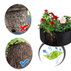 Raised Felt Nursery Pot for Healthy Seedling Growth and Early Vitality