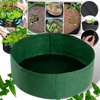 Raised Felt Nursery Pot for Healthy Seedling Growth and Early Vitality