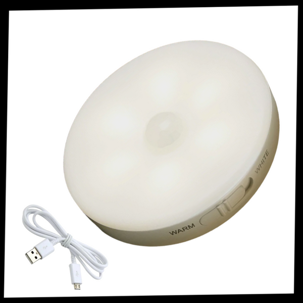Motion Sensing LED Light For Safer Hallways And Steps At Night