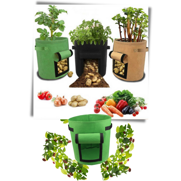 Organic Vegetable Planter Fabric Pouch For Chemical Free Home Growing