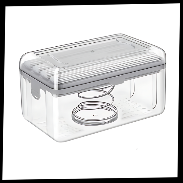 Dual-Function Soap Dispenser With Sponge Holder for Dry Countertops