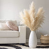 Dried Pampas Grass Plumes 10 Piece Set Natural Elegant Home Decor