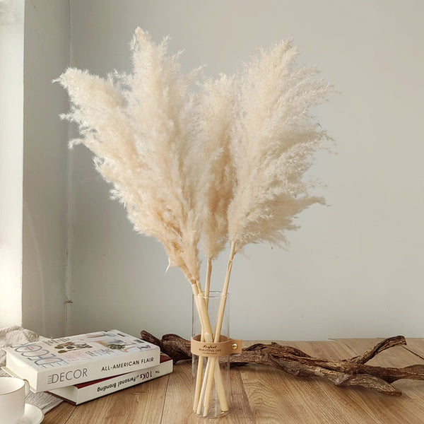 Dried Pampas Grass Plumes 10 Piece Set Natural Elegant Home Decor