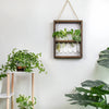 Modern Botanical Plant Propagating Photo Frame Wall Art