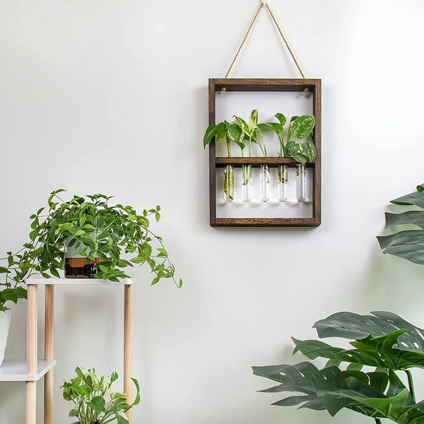 Modern Botanical Plant Propagating Photo Frame Wall Art