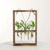 Modern Botanical Plant Propagating Photo Frame Wall Art