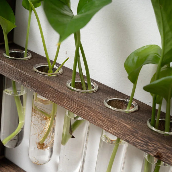 Modern Botanical Plant Propagating Photo Frame Wall Art