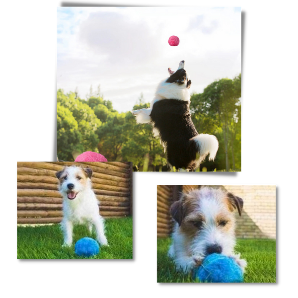 Automatic Moving Roller Ball For Dogs Keeps Them Active