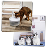 Cat Water Fountain With LED Light And Purification System