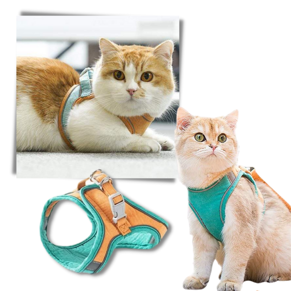Pet Soft Vest Harness And Leash Set With Reflective Strips For Night Safety