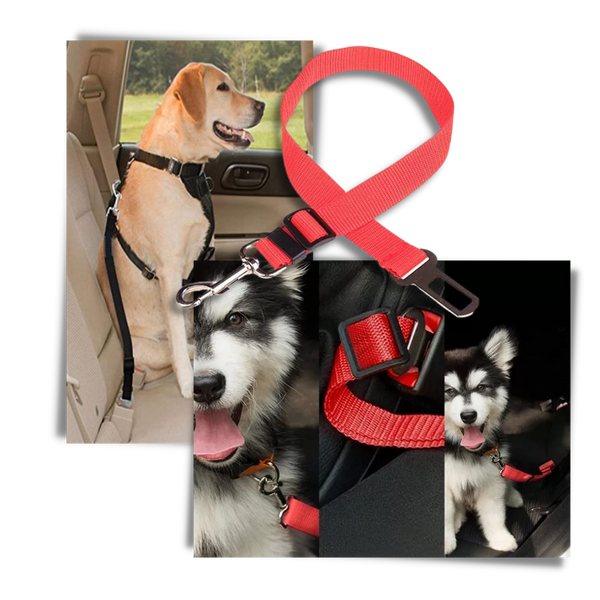 Premium Car Dog Seat Belt For Safe Travel And Comfortable Journeys