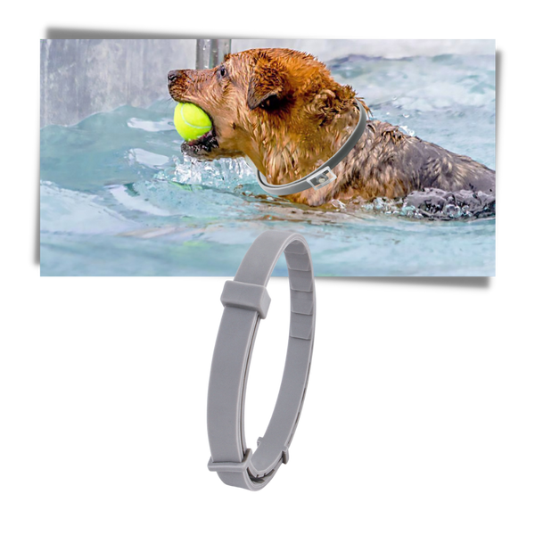 Pet Flea And Tick Collar For Safe Long Lasting Parasite Protection