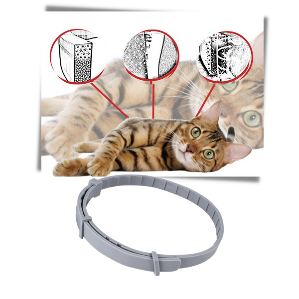 Pet Flea And Tick Collar For Safe Long Lasting Parasite Protection
