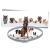 Pet Flea And Tick Collar For Safe Long Lasting Parasite Protection