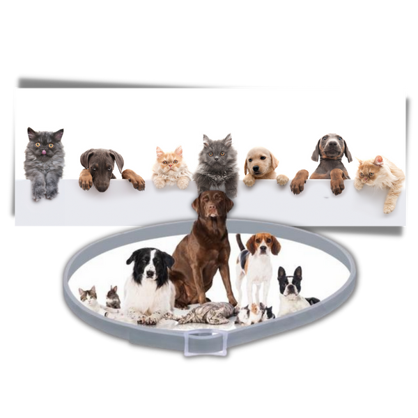 Pet Flea And Tick Collar For Safe Long Lasting Parasite Protection