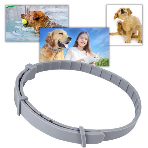 Pet Flea And Tick Collar For Safe Long Lasting Parasite Protection