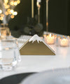 Gold Style Napkin Holder