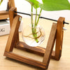 Transparent Plant Propagating Stand For Modern Indoor Gardens