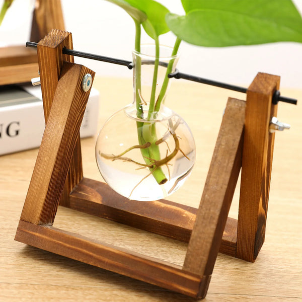 Transparent Plant Propagating Stand For Modern Indoor Gardens