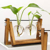 Transparent Plant Propagating Stand For Modern Indoor Gardens