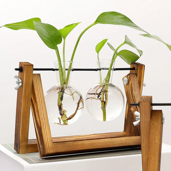 Transparent Plant Propagating Stand For Modern Indoor Gardens