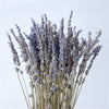 Natural Dried Lavender Flowers For Aromatherapy Relaxation