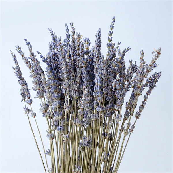 Natural Dried Lavender Flowers For Aromatherapy Relaxation