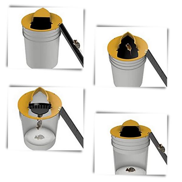 Humane Bucket Rodent Trap with Auto Reset for Rats and Mice