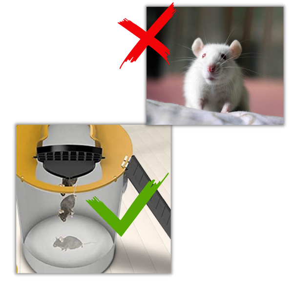 Humane Bucket Rodent Trap with Auto Reset for Rats and Mice