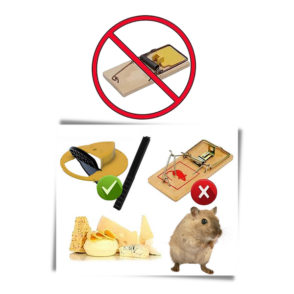 Humane Bucket Rodent Trap with Auto Reset for Rats and Mice