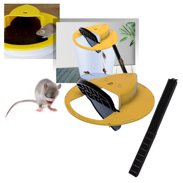 Humane Bucket Rodent Trap with Auto Reset for Rats and Mice