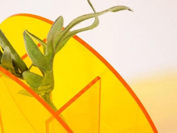 Light Transit Acrylic Vase & Desktop Accent