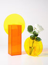 Light Transit Acrylic Vase & Desktop Accent
