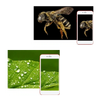 Portable USB Digital Microscope With Adjustable LEDs For High Magnification
