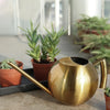 Minimalist Stainless Steel Plant Watering Can Indoor Garden Essentials