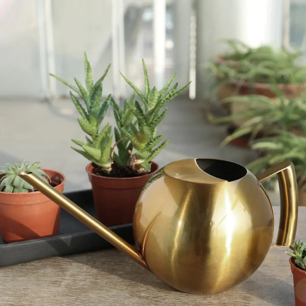 Minimalist Stainless Steel Plant Watering Can Indoor Garden Essentials