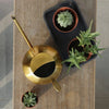 Minimalist Stainless Steel Plant Watering Can Indoor Garden Essentials